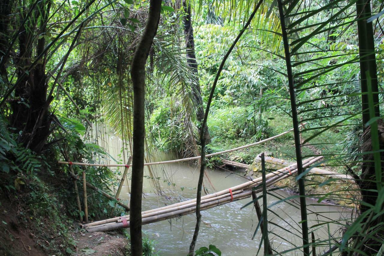 Villa Sindu Ubud Exteriör bild