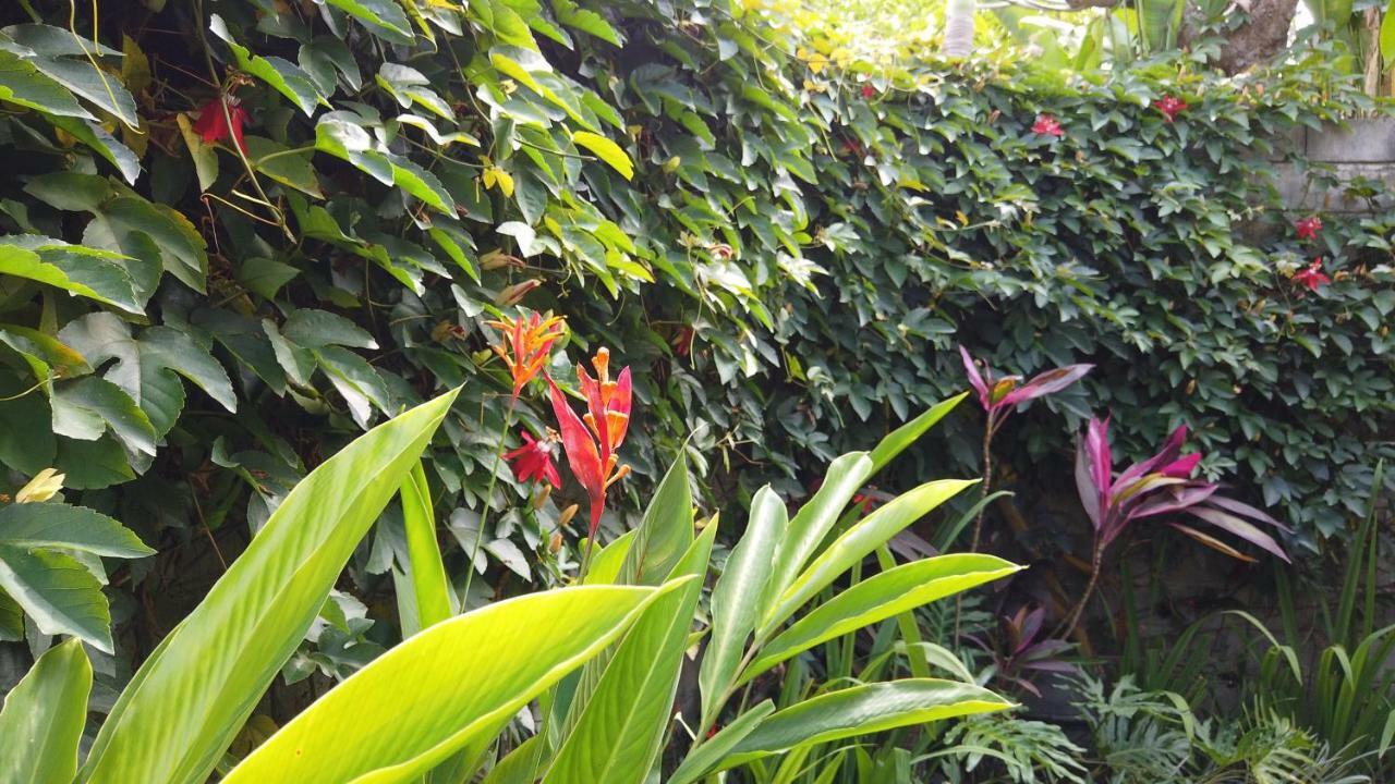 Villa Sindu Ubud Exteriör bild